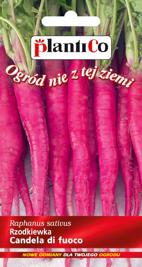 NASIONA Rzodkiewka Candela di Fuoco 5g PLANTICO 406506