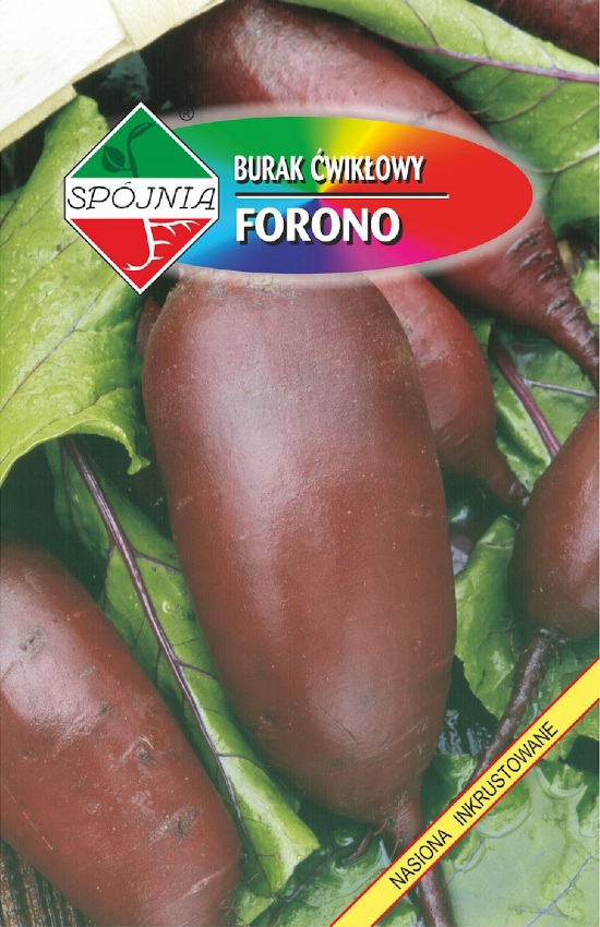 NASIONA Burak Ćwikłowy Forono 12g SPÓJNIA 700138
