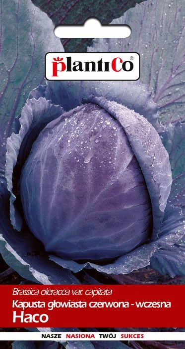 NASIONA Kapusta Głowiasta Czerwona Haco 1g PLANTICO 402317