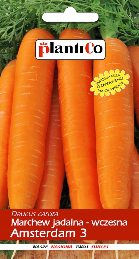 NASIONA Marchew Jadalna Amsterdam 3 Amsterdamska NOE 5g PLANTICO 403017