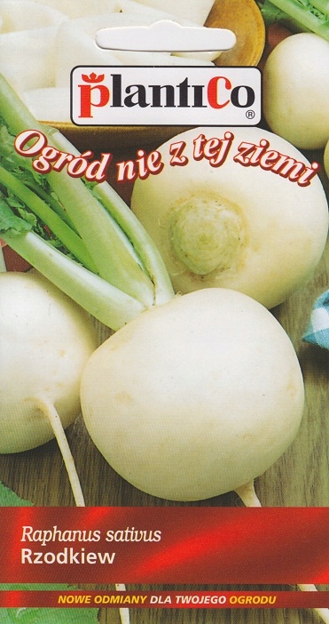 NASIONA Rzodkiew Runder Weisser 5g PLANTICO Biała 406766