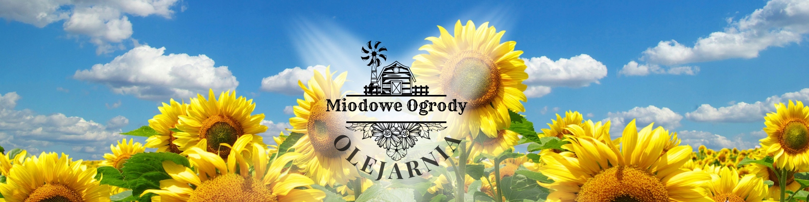 27908743d886322ed209a021d6156b07