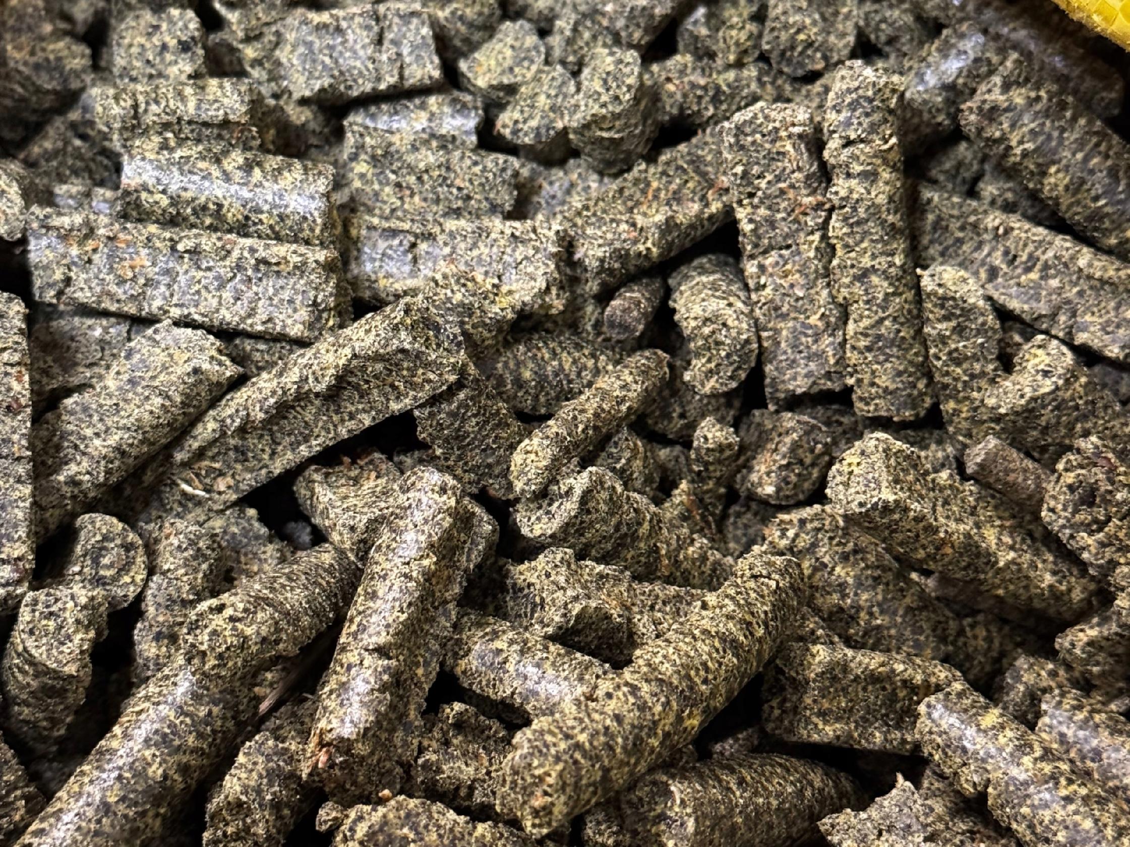 29a498c5373801b815d039e625e2ac5c