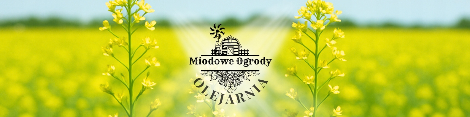Olej Rydzowy Tłoczony na Zimno 500 ml 4ca7f22bd87a7583455c7227a709aa46