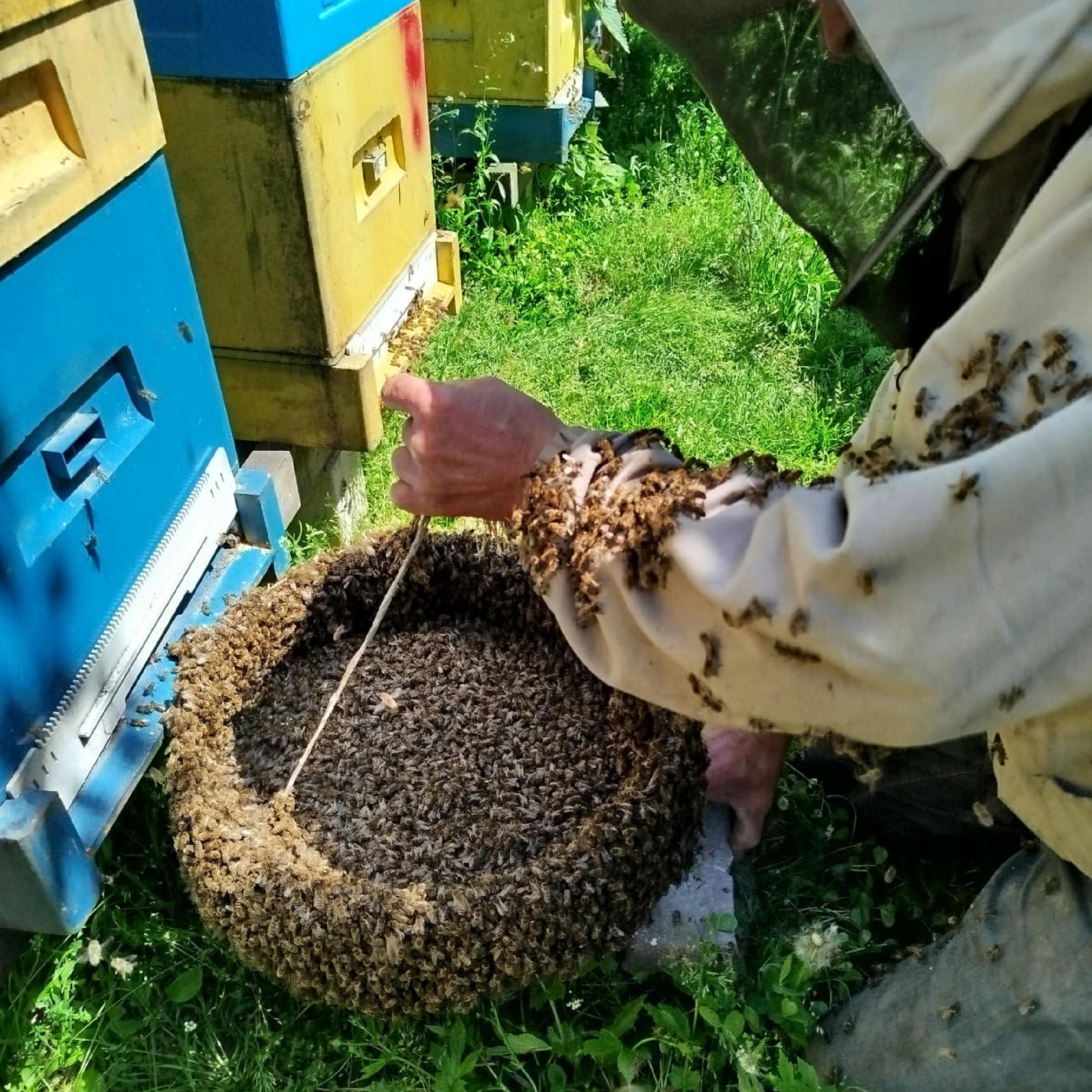 78504951614309fb199bb44048596ebb