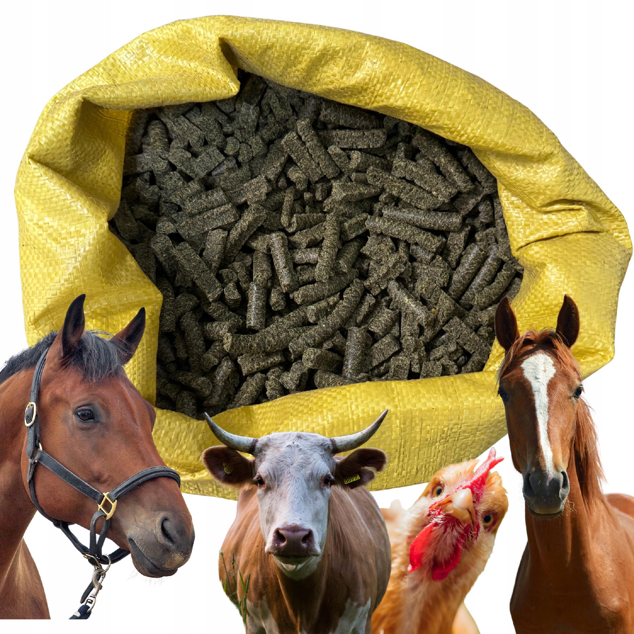 885d1f604fab9a3840c538add4f76f4e