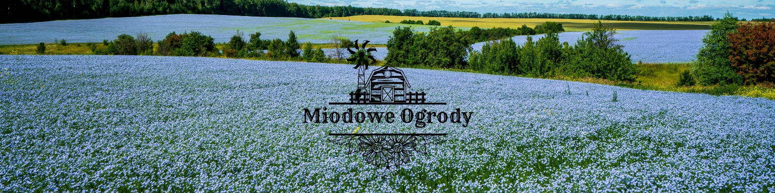 89c8412646ad64a199bbb8f3ef6d1174