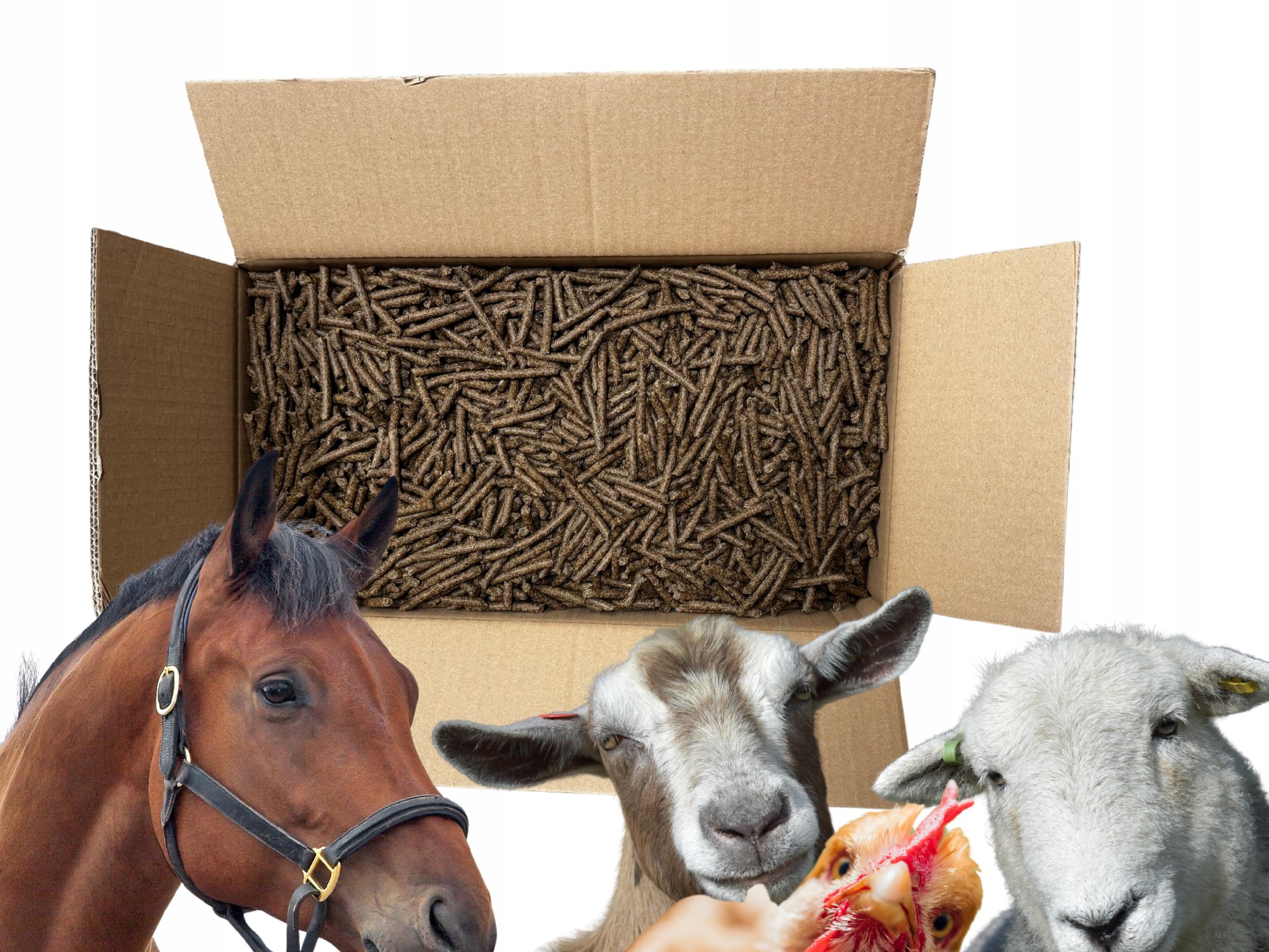 A24fee7dafc712e117dfa51ea3ca268d