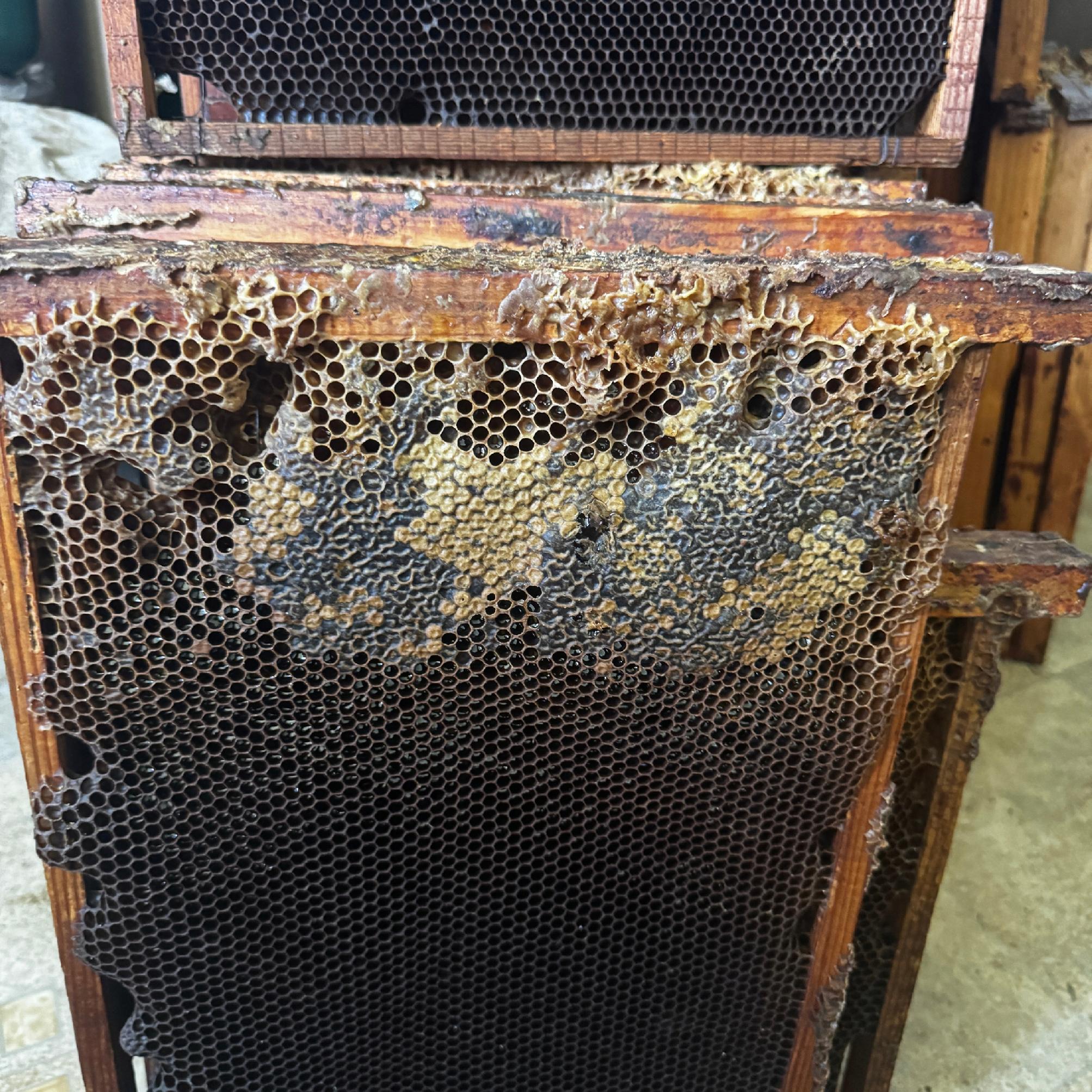 A5f1d39759dc5f2e2026ace3d8a3e053