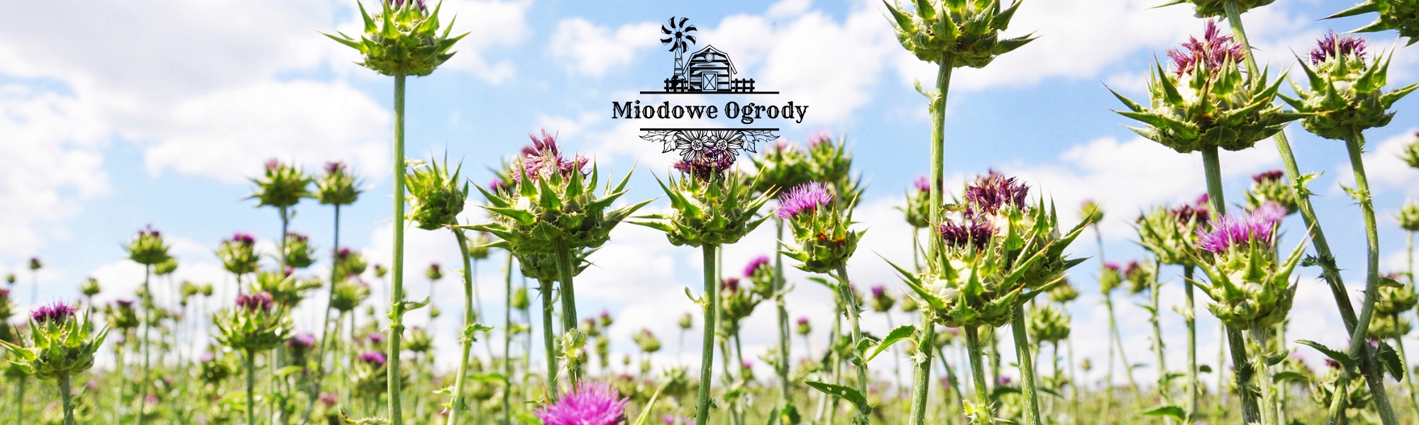 B435d331cee5ac2b68626dbaed68e4fe