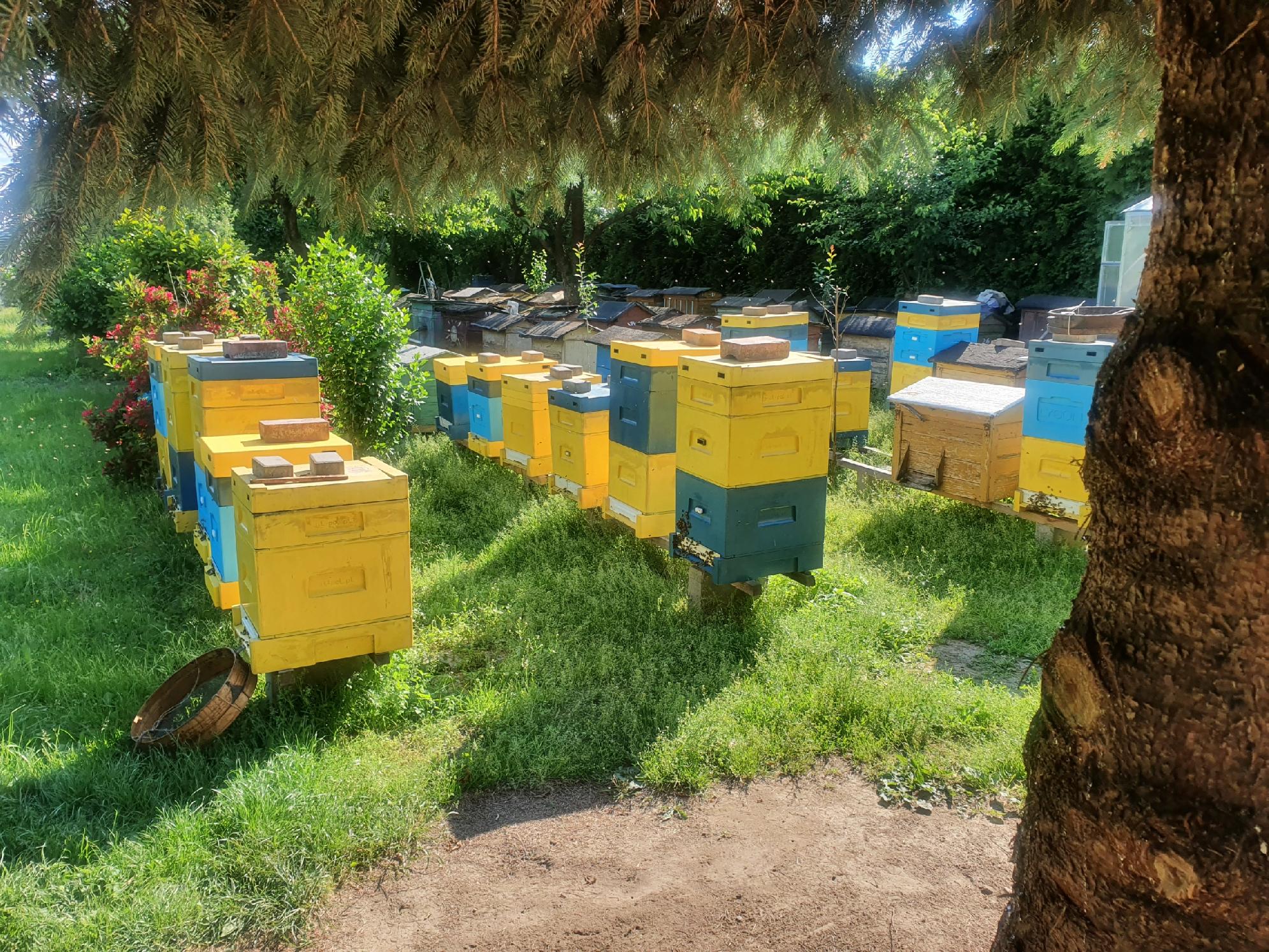 Ccbbe6edee09bf3ebc46b12c15f4a2ad