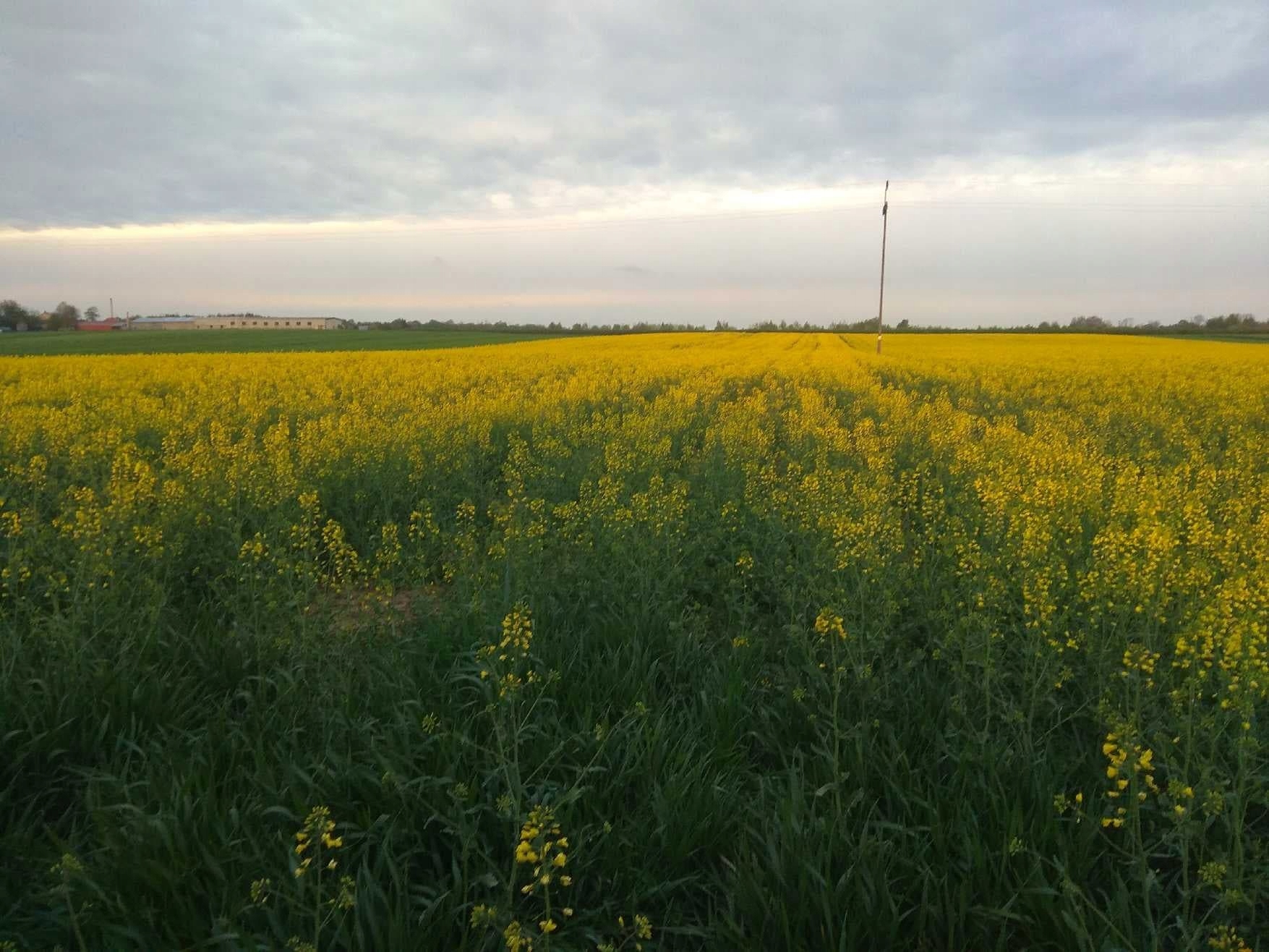 D0eb89d5db531083f3c667698404f726