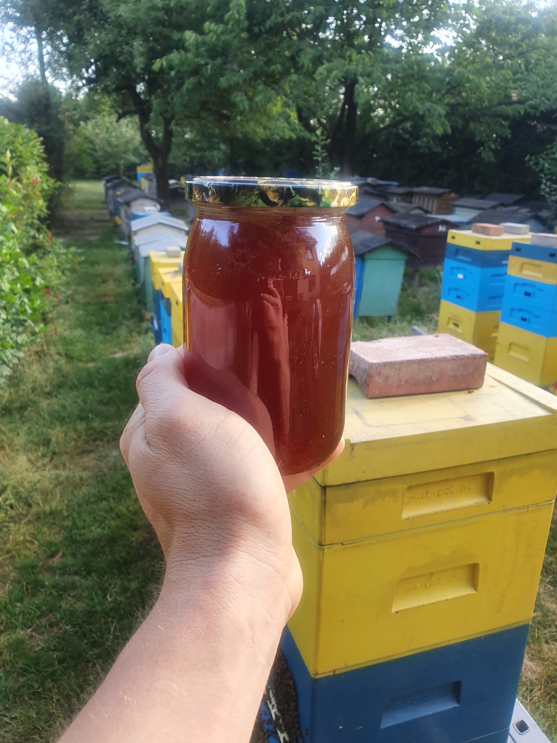 E549661897581e66c7d074c092f4d40a