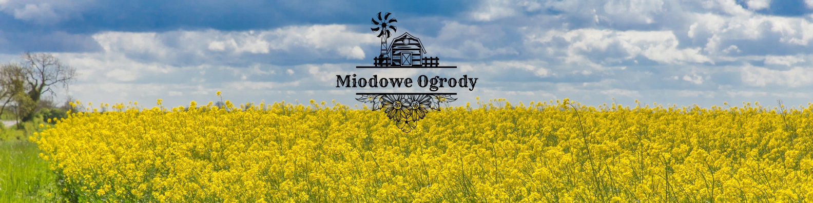 Ed64ce46dc51eb9f0021adede39ad3b2