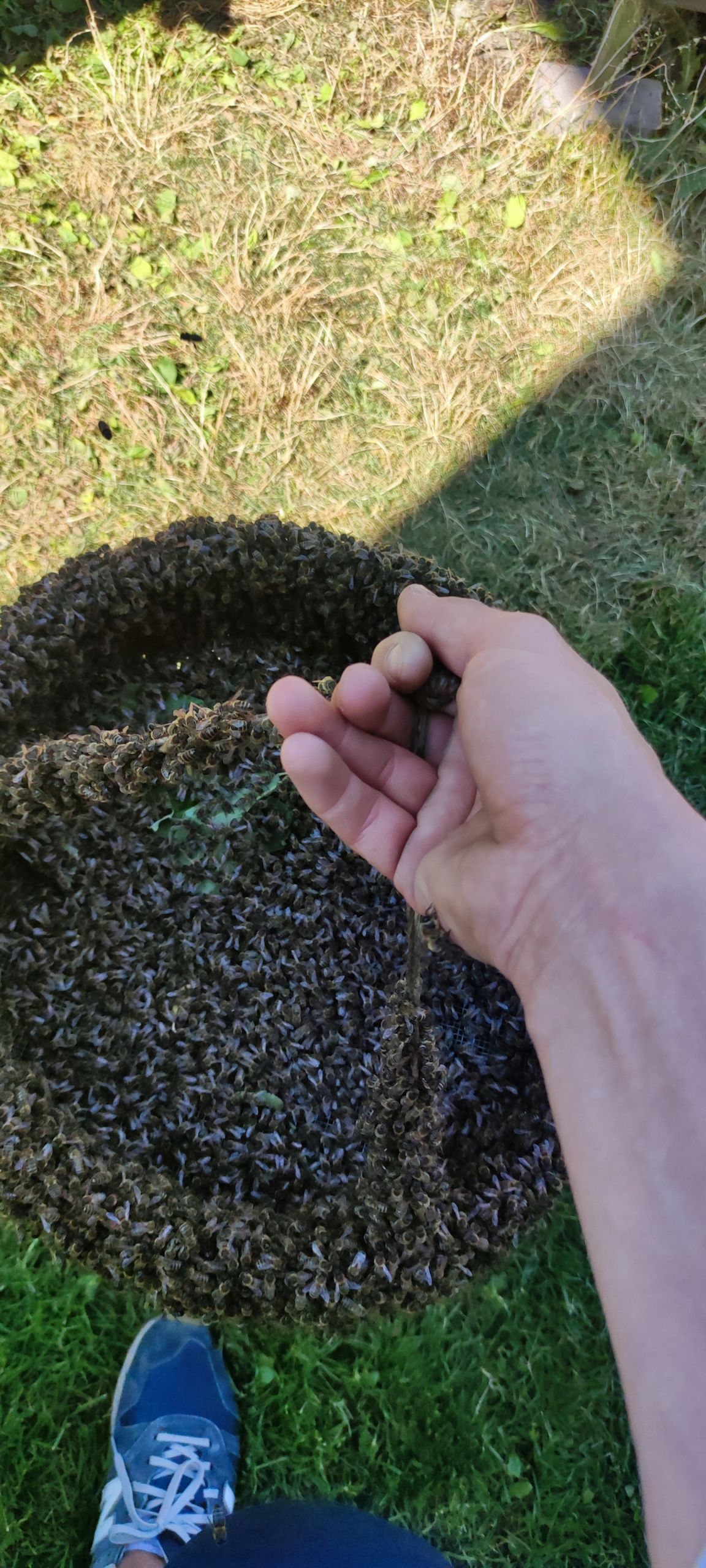 0ded87c5fb7f68760848ce8f39d596cf