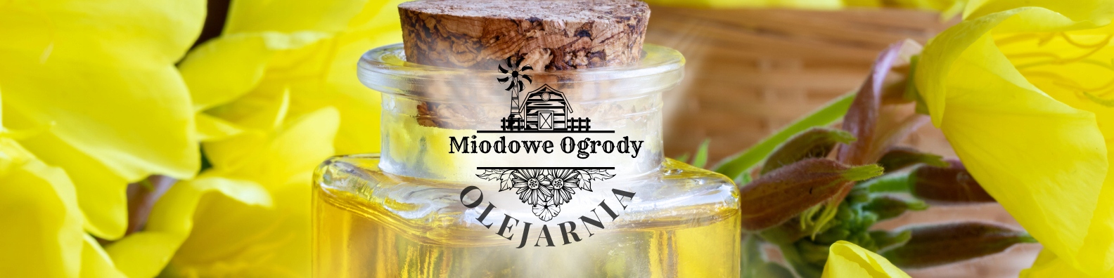 2fbb10a62b85380df69216ba0f5ba007