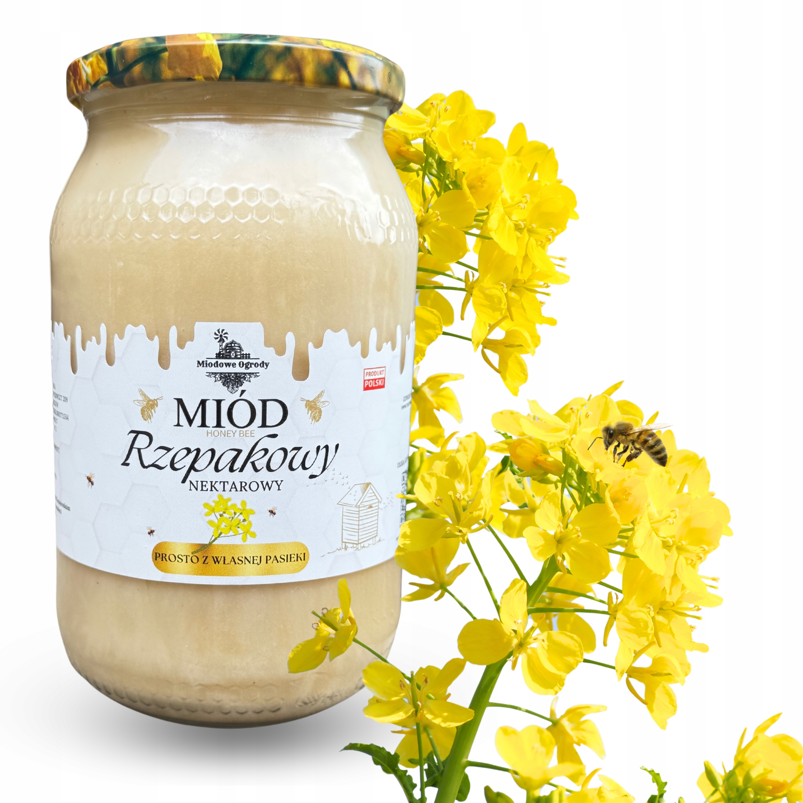 43b45b35683ad4ed672e4d583fb628b2