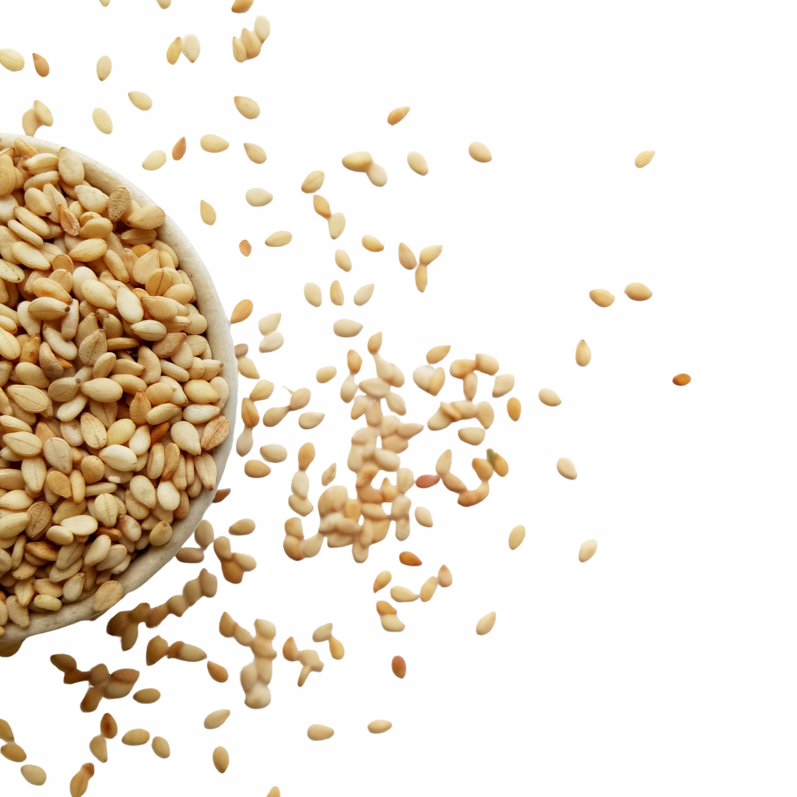 56ca653c406ba4286aa5eb948b832407