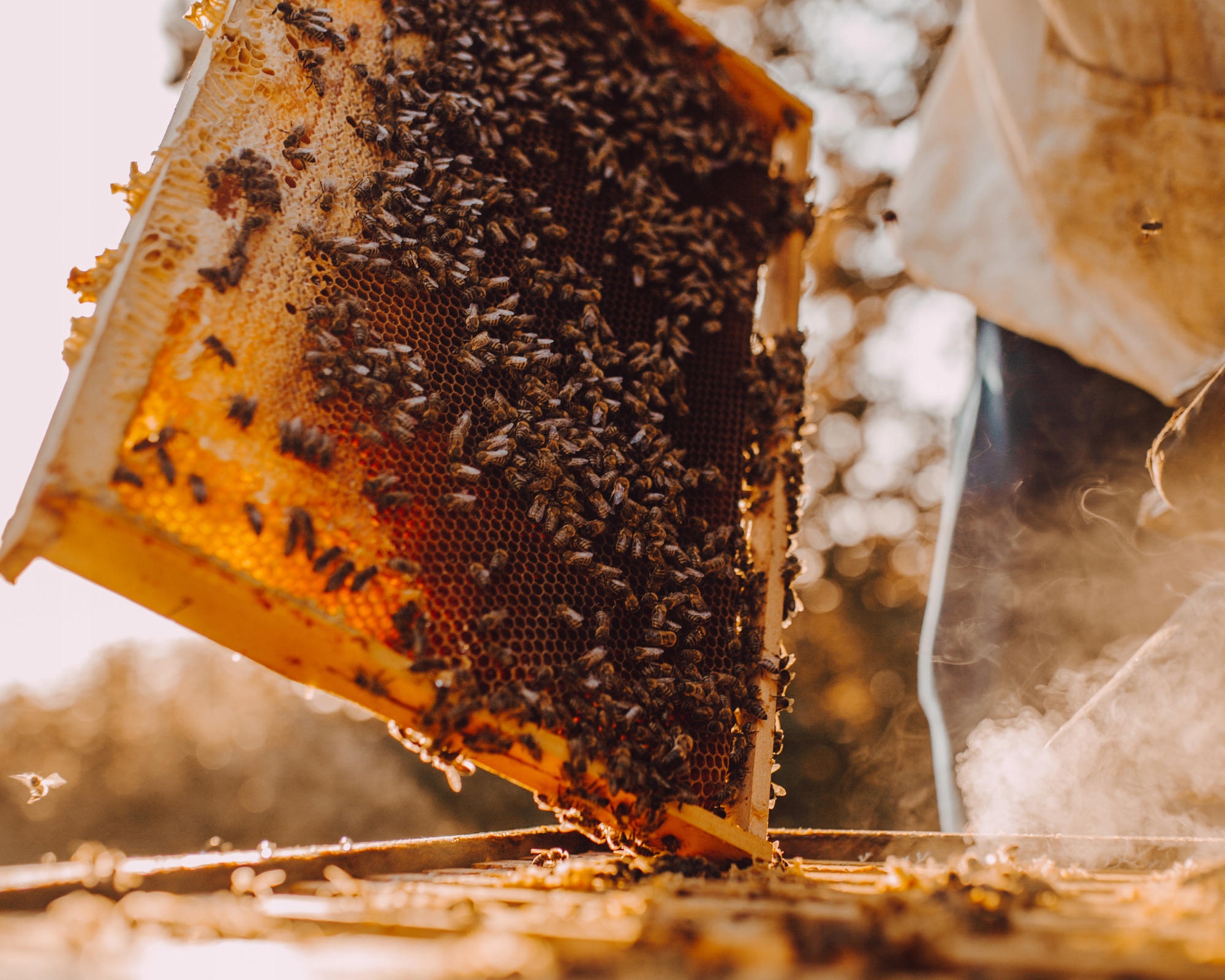 57b7a52f75f372f8fdc37ccd07994fbf