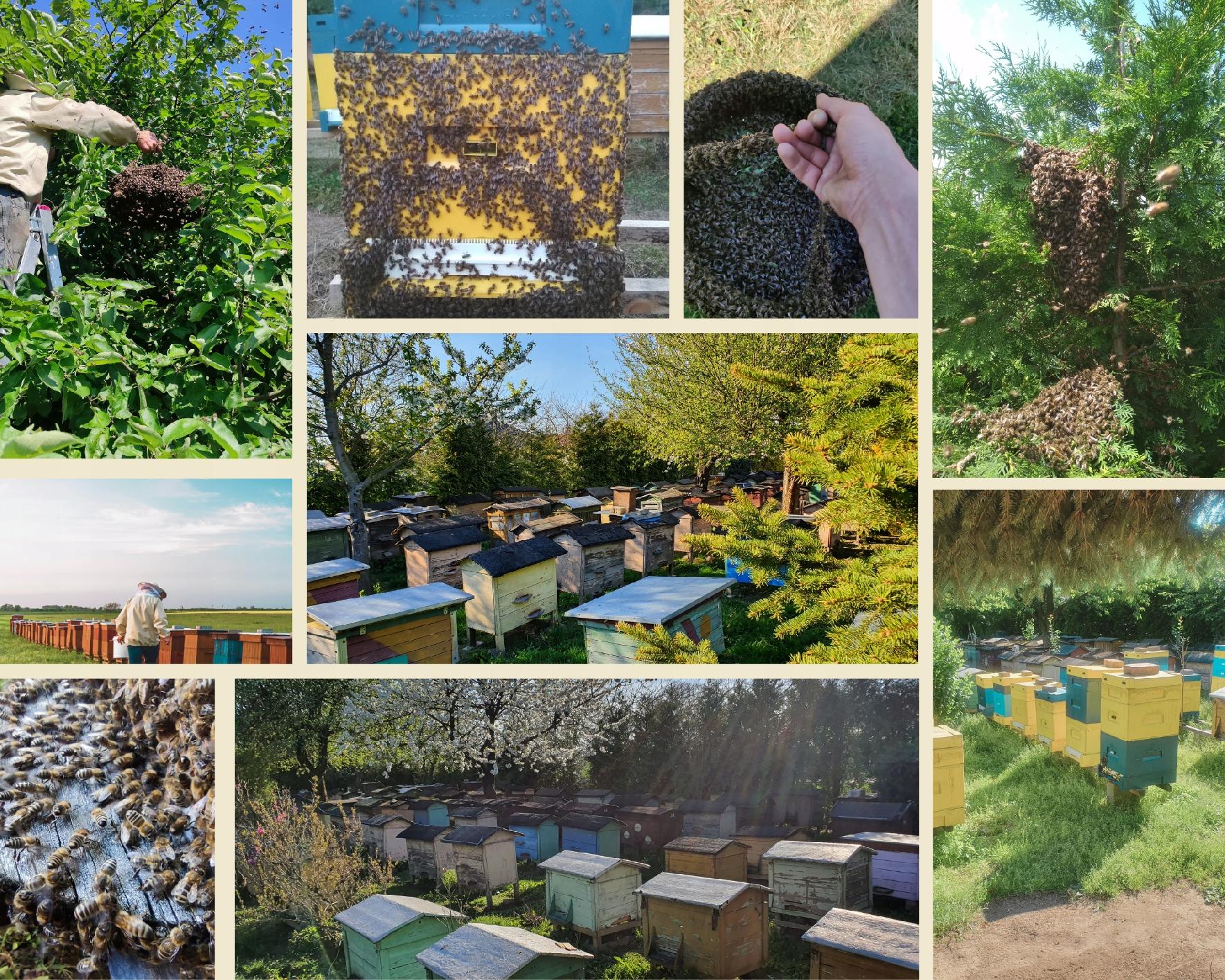 58cda2ed2d16bb2320826a9a643b7e88