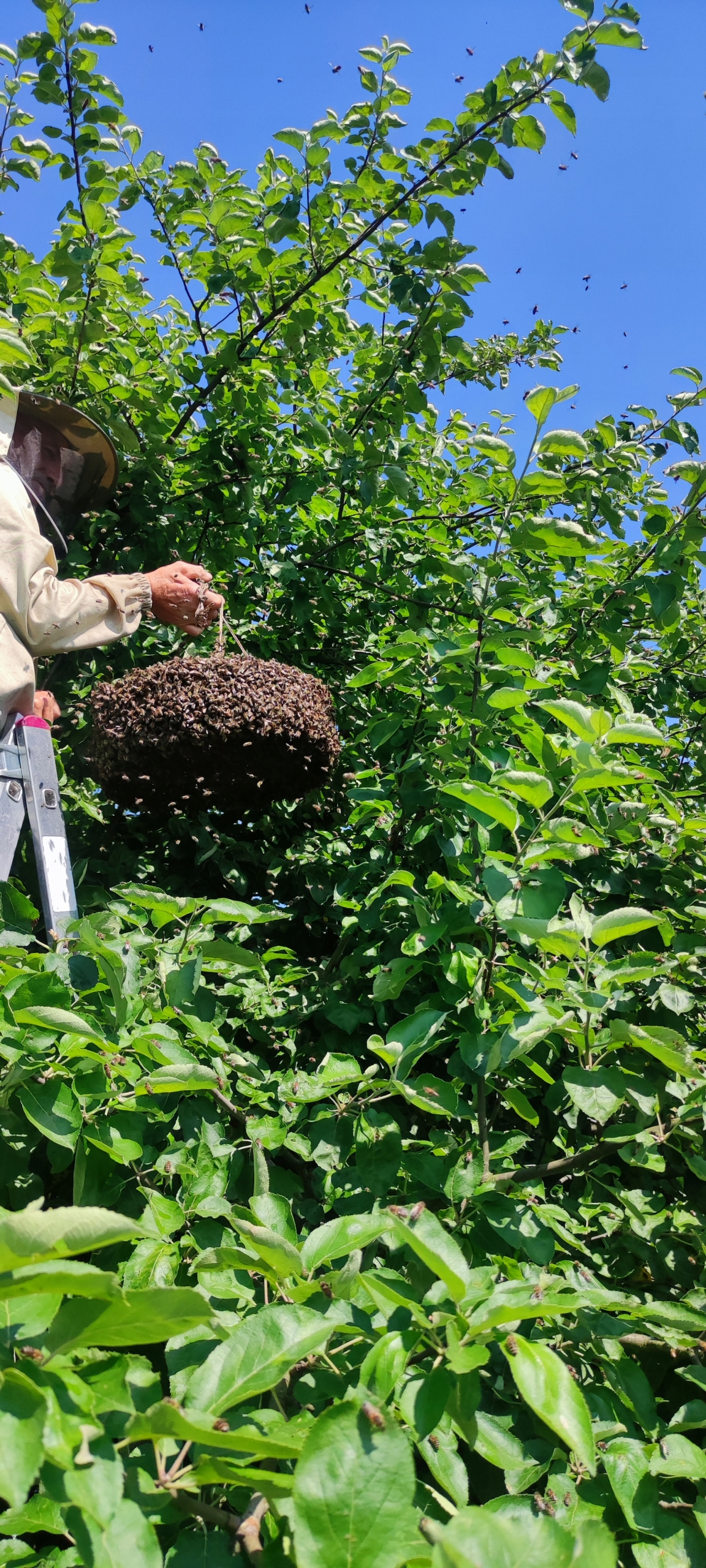 63cefa486714b0c03bb8f88d10c6d09b