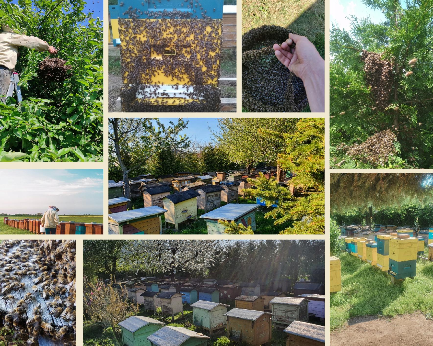 63f71ca0ab426a1bd276645bfe0ea455