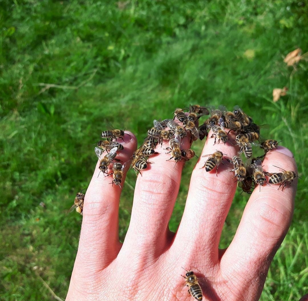 69f6647c9aa9887cce20ae5e35a68d50