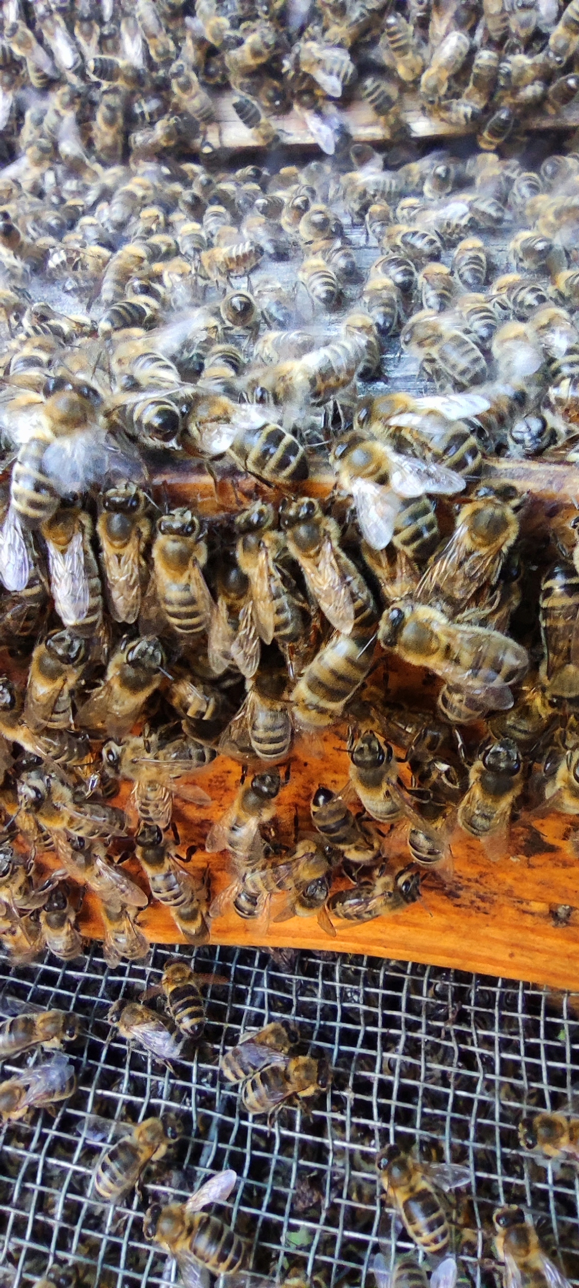 6eae933f97bc6f94f554904b64c60719