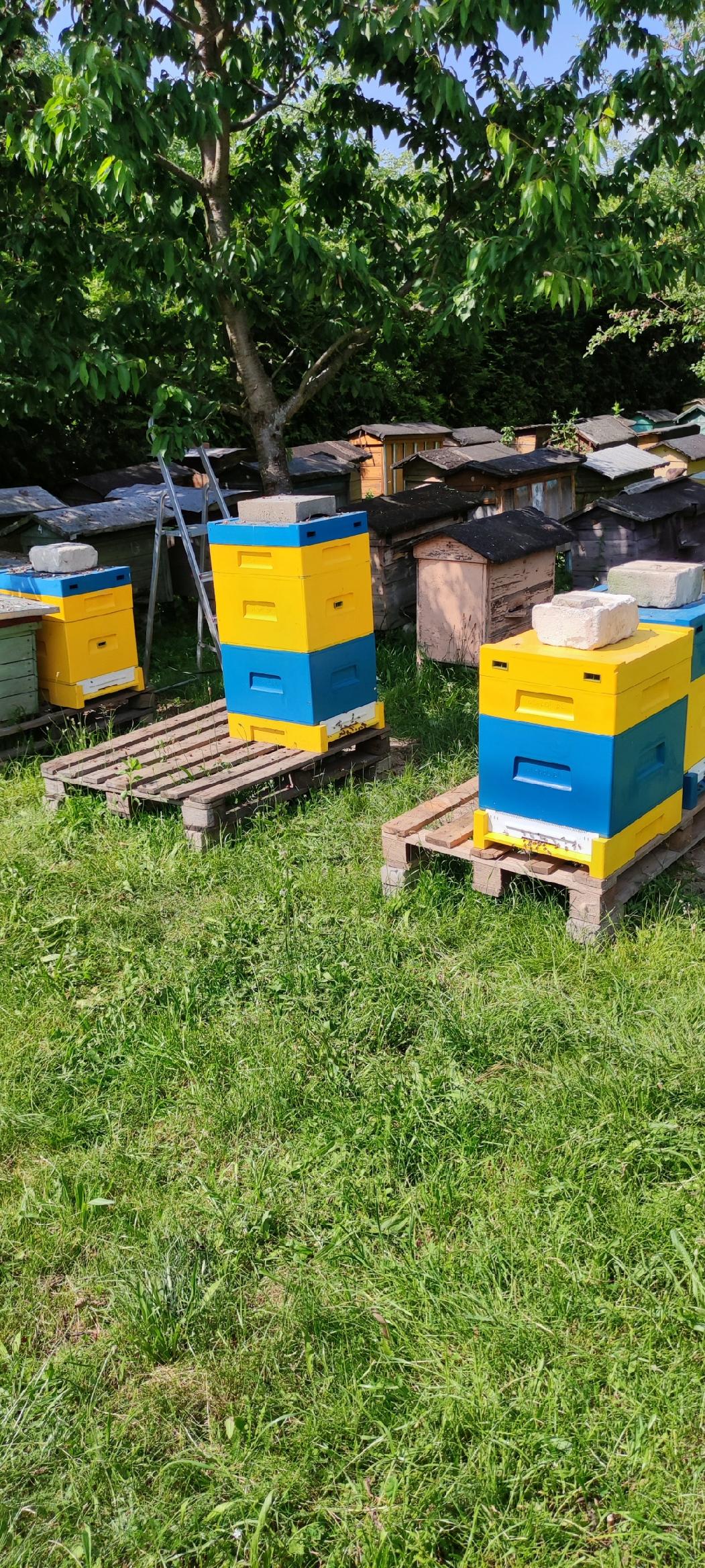 776a739530621c2d7be500025faf38ac