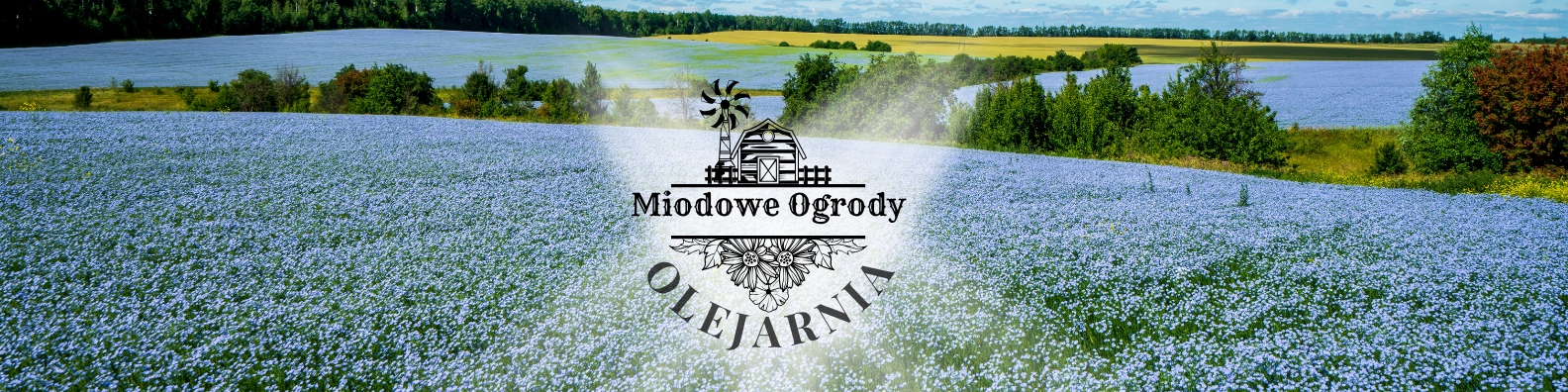 988f7d36406e4de9af14b58e6c116f6e