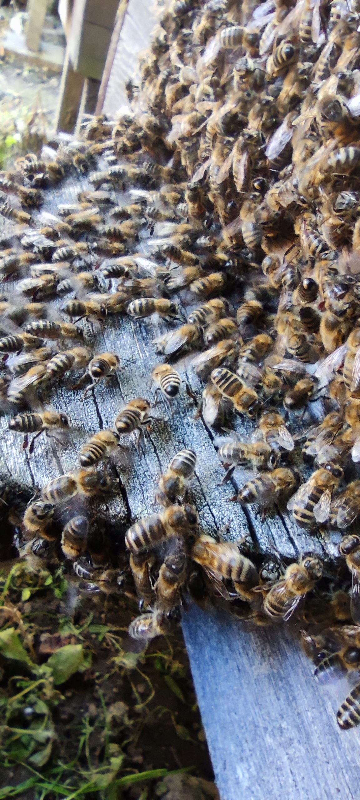 9a2c9264edfae4e8298bbe7d1a8286a2