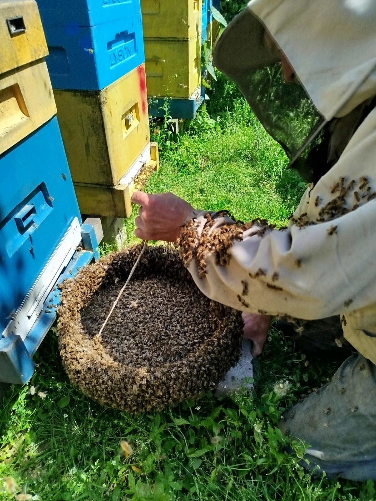 A1fcf613d2d8658959d0bc17a69139c4