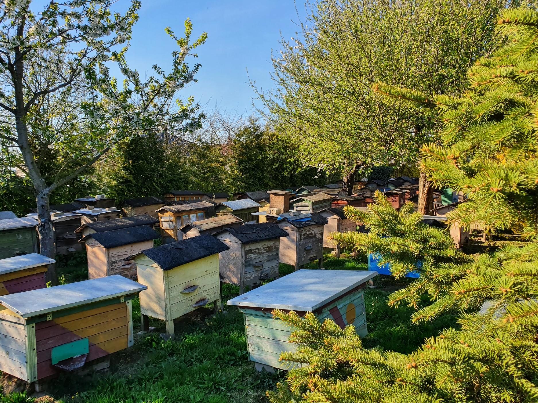 A511b44a12524a10d79e15ffc38de516