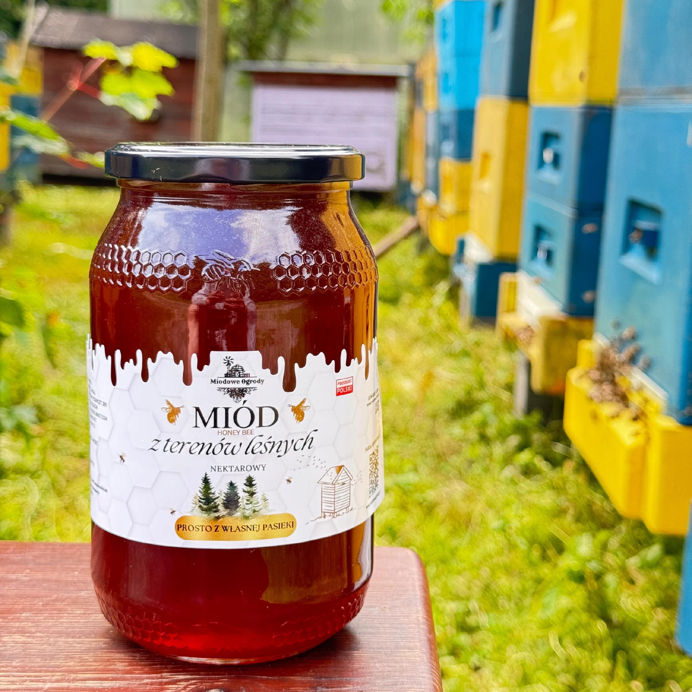 Aa38a3871604b928d5f16d8036d75f12