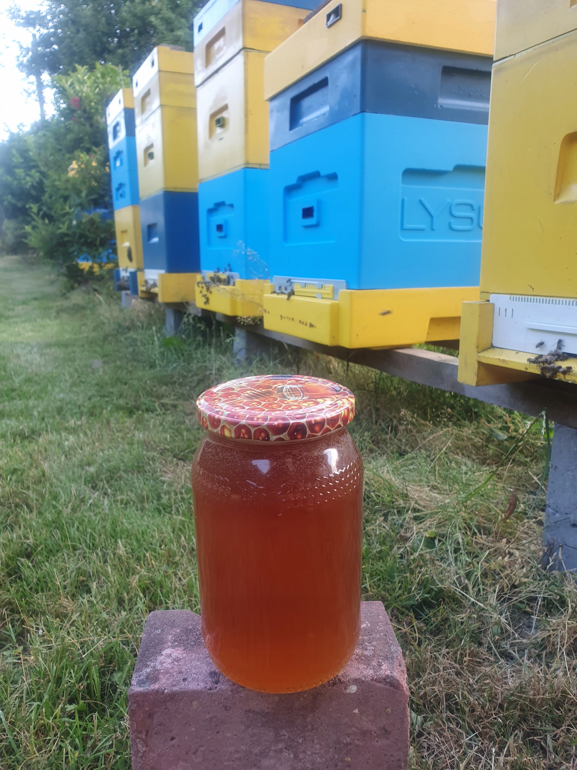 B21f86bcc3387cec1fb7ebf6de851a76