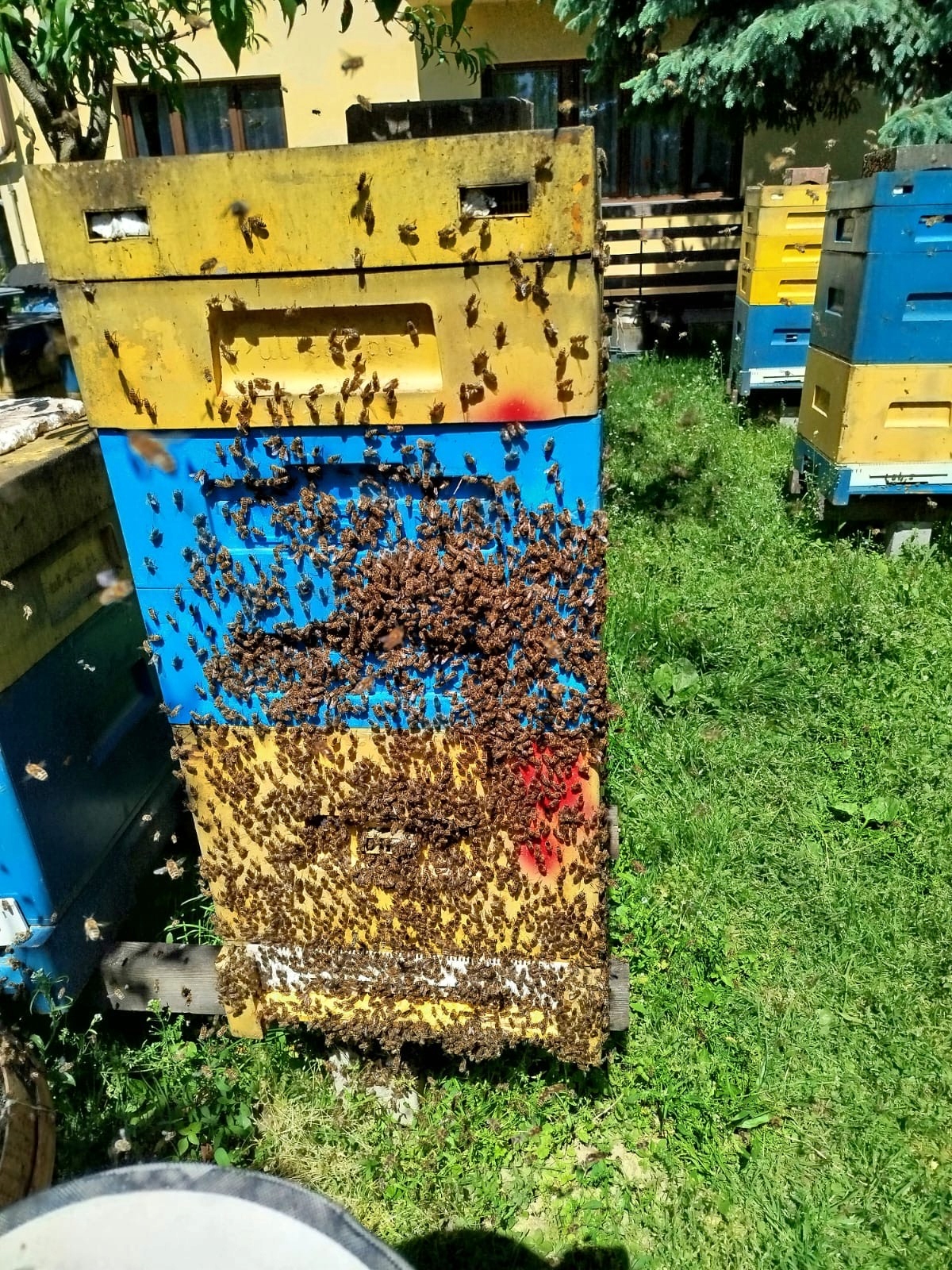 D46e3949465c4b71abbf50e11329857c