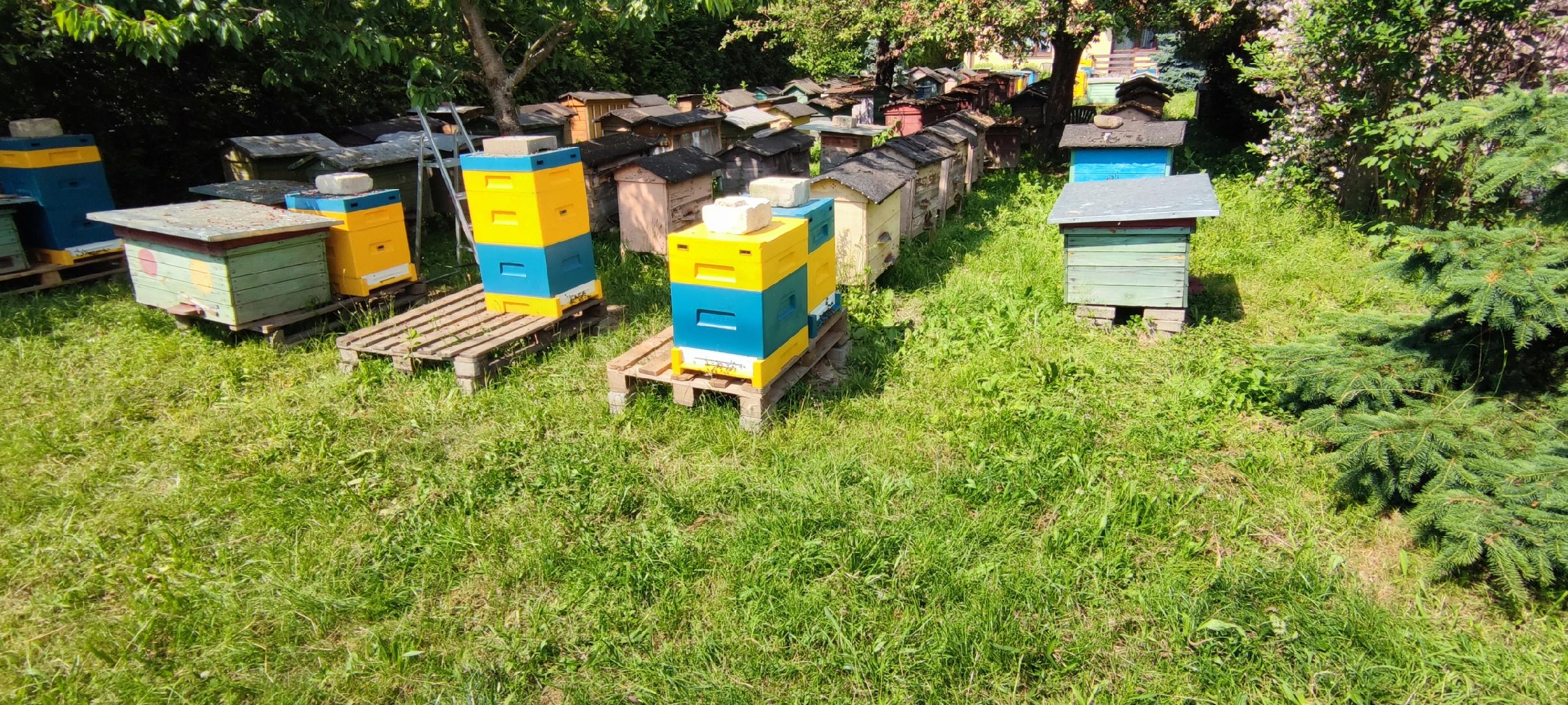 De3f839092d1382d29b49de57c96d156