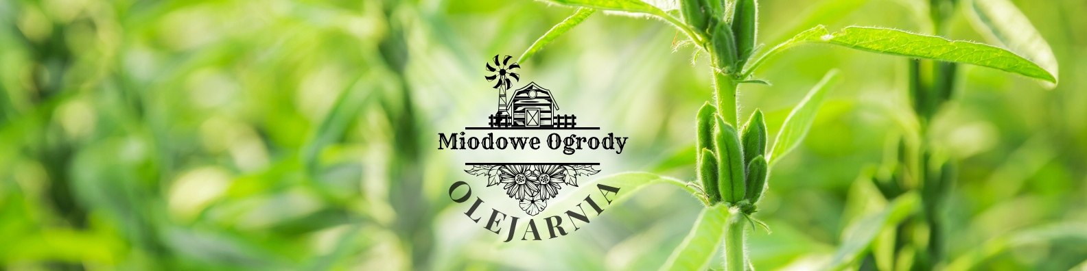 E74879398ea0c84d917f508aa72ee41e