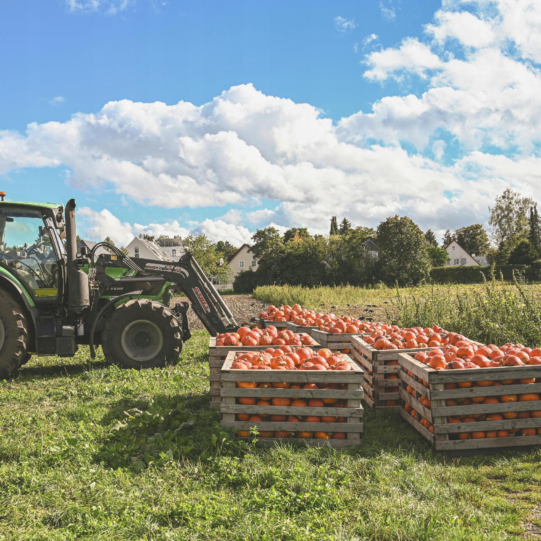 E8eda338bd494db50aae42068c859b7a