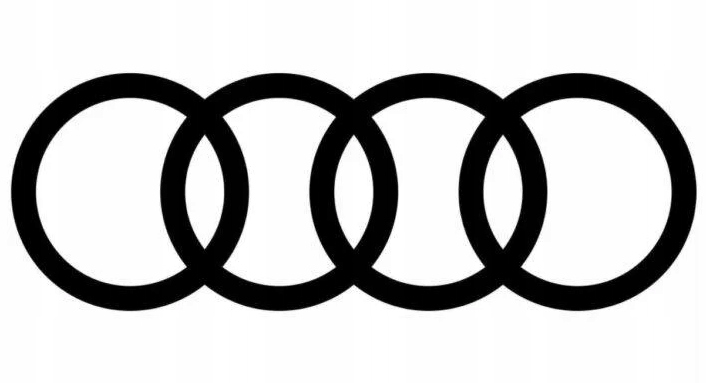 ORYGINALNE FELGI AUDI RS3 A3 S3 Q2 Q3 19'' 8V0601025EJ AUDI SPORT