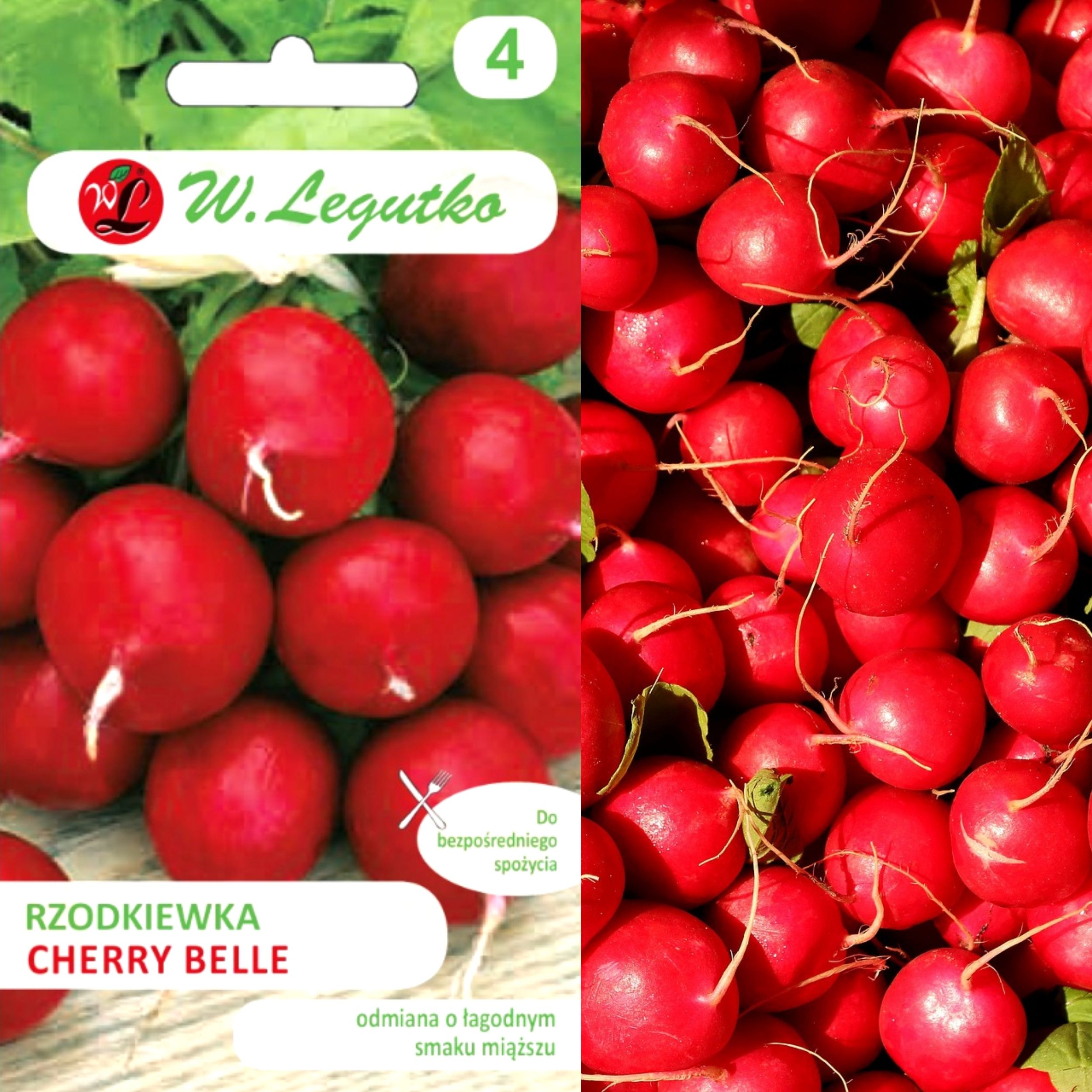 Sėklos. Ridikėliai Cherry Belle, apvalūs, raudoni