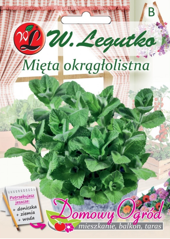 Sėklos. Apvalialapė mėta, 0,1g