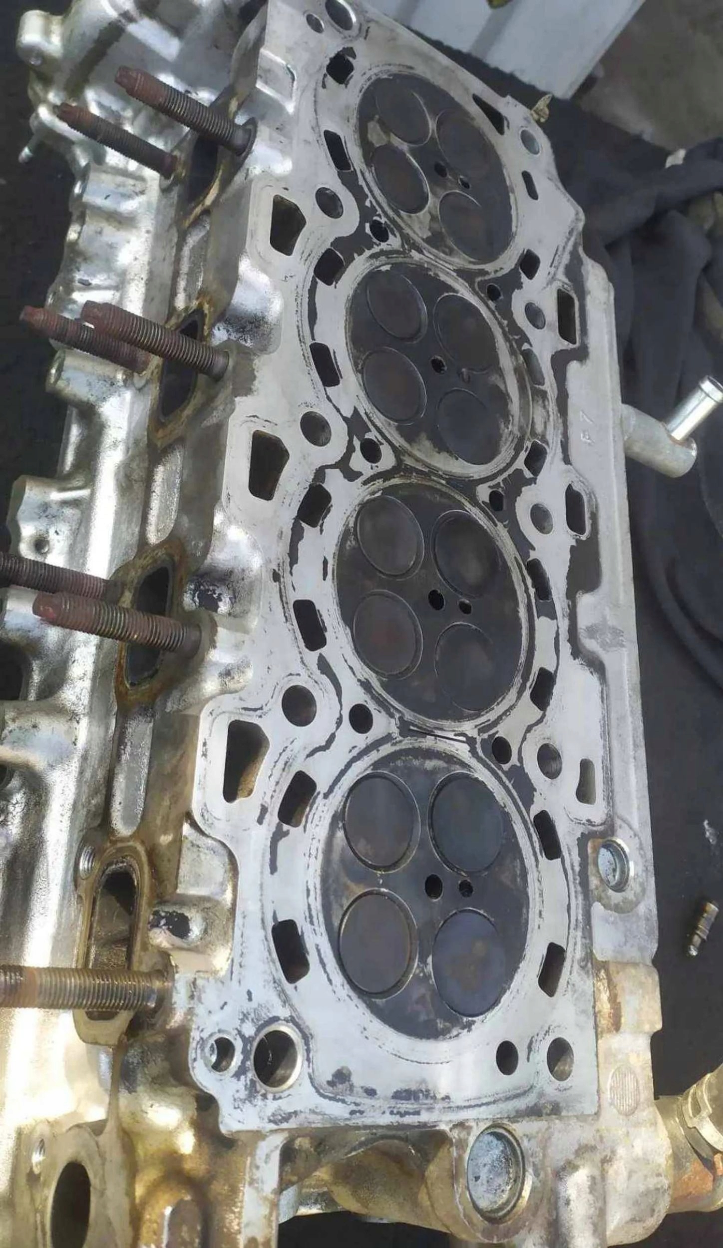 380706d2fa4827c3bb9b7570b0244390