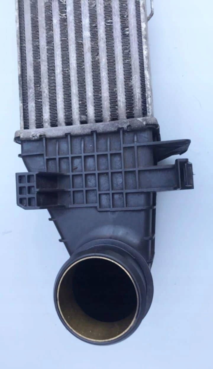 98be6cc0cdb6cb337a495ce4b7486b82