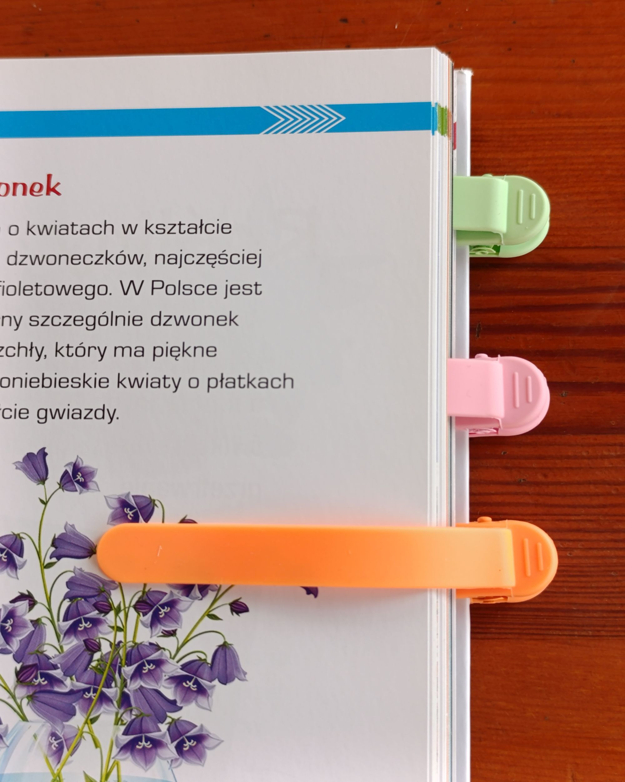zakładki do książek dla uczniów studentów nauczycieli miłośników książek