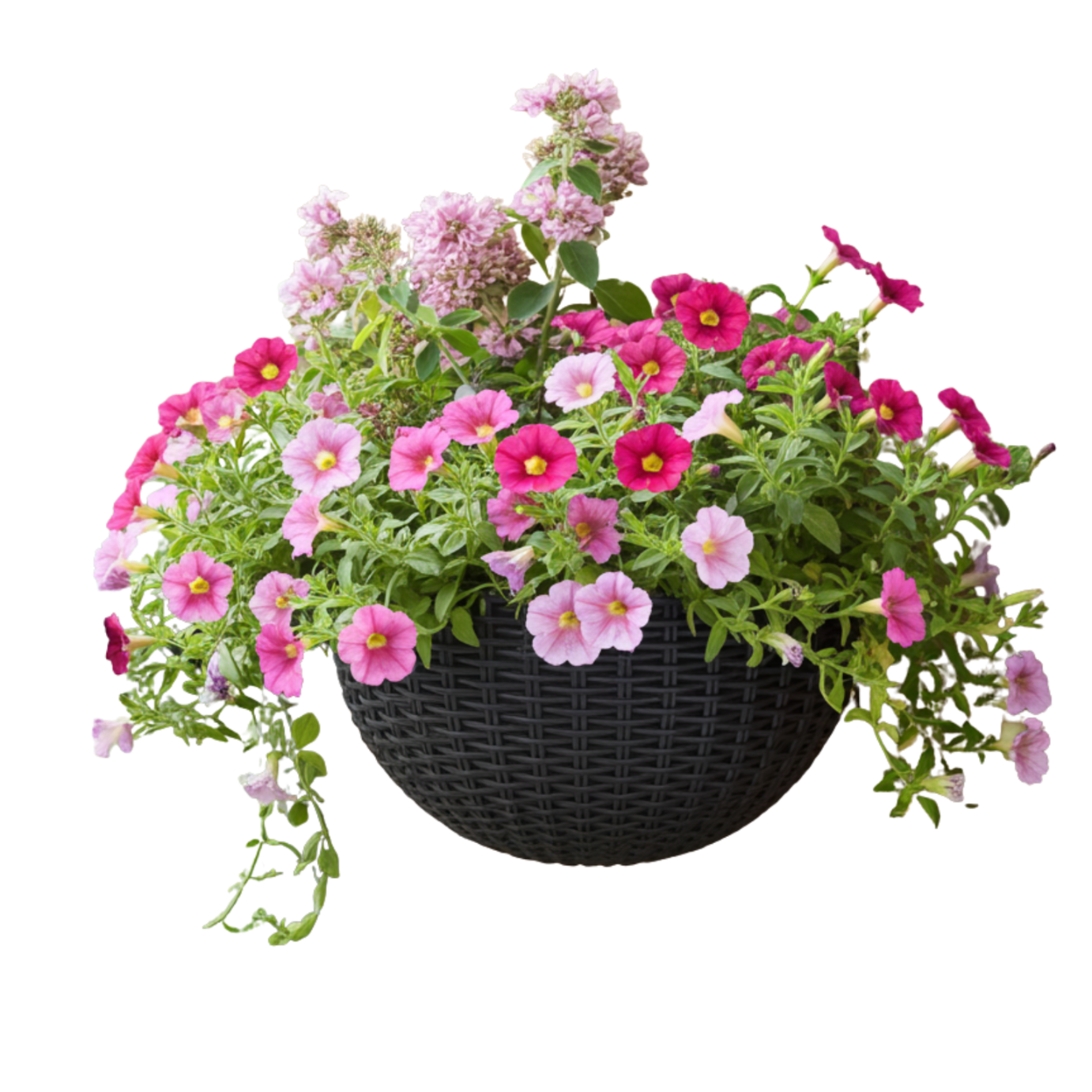 doniczka wisząca simplo czarna rattan na ścianę płot balkon 5903068136948