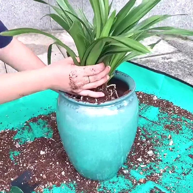 mata do przesadzania kwiatów doniczkowych dom ogród łatwe czyszczenie simplo 5903068138294