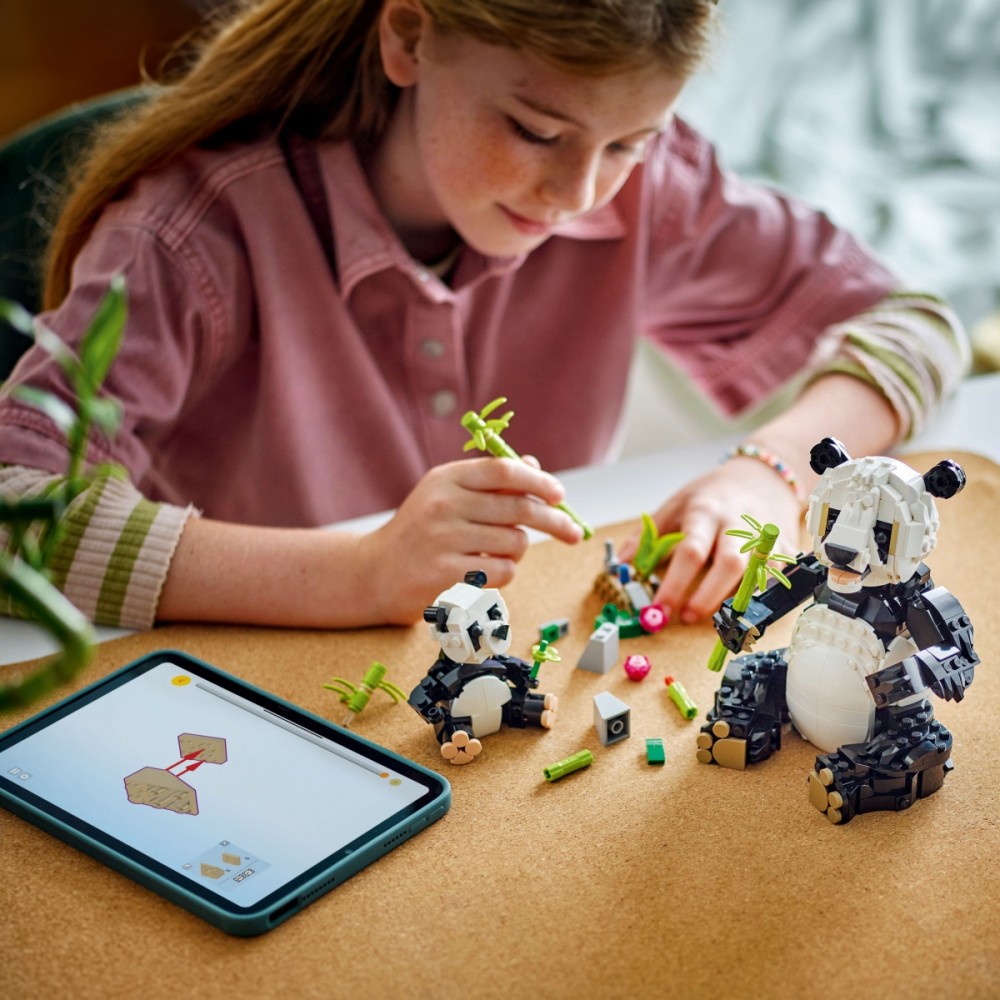 5702017822402 Bricks Creator 31165 Wild Animals: Panda Family LEGO