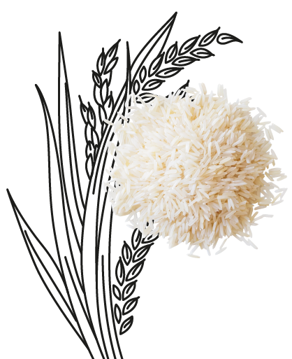 Orez basmati BIOGO