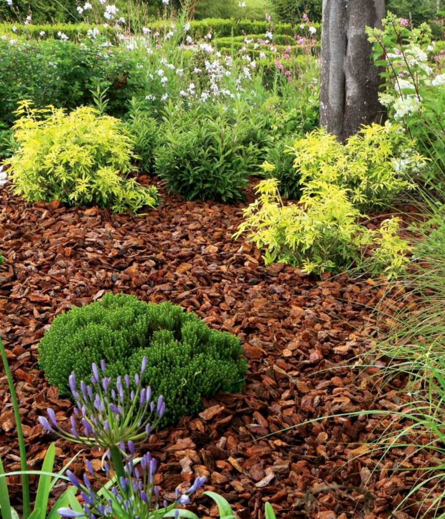 Scoarta de pin mediteranean Dr.Soil cu granulatia 25-40 mm, la sac de 70 litri, palet 39 saci x 70 L, pentru gradina — imaginea 7